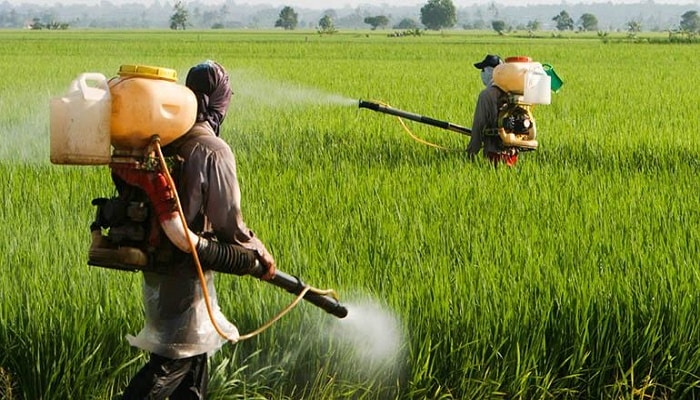 contaminación por pesticidas